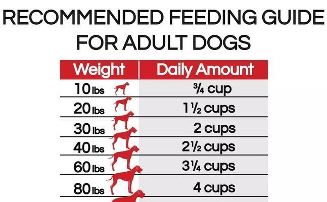 以哥威斯犬为宠物的饲养方法（打造健康、快乐的哥威斯犬生活）