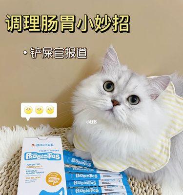 猫咪吃益生菌有哪些好处？（从颜色看猫咪身体健康）