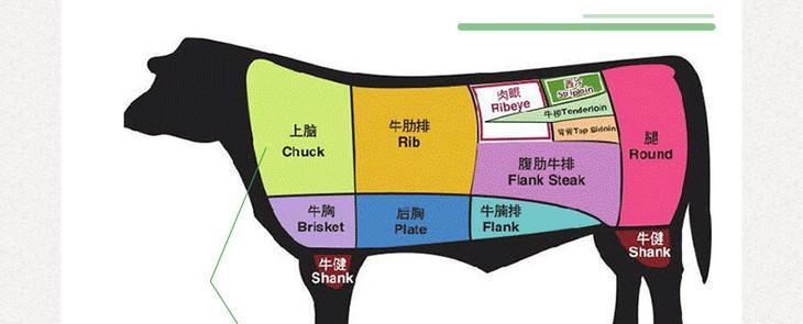 如何科学饲养牛头獒（牛头獒饲养的秘诀和注意事项）