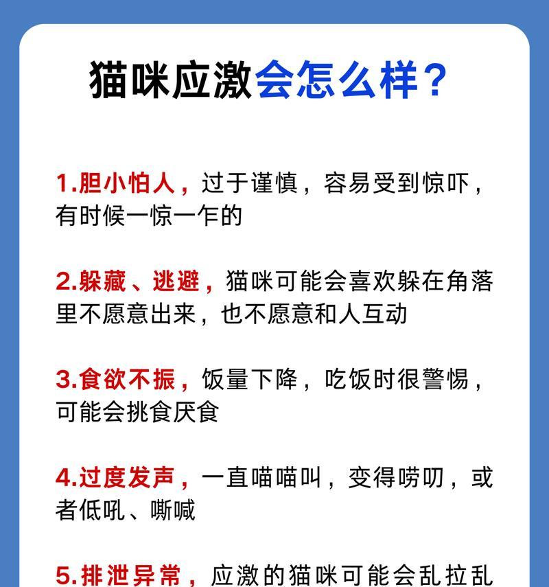 新领养的猫咪一个星期了，还怕人？！（怎样让它逐渐接受你，并与你建立亲密关系？）