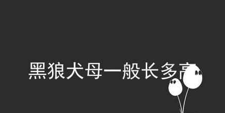 黑狼犬吃多吐了怎么办？（宠物饮食管理，防止过度进食）