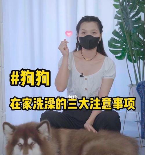 如何合理安排宠物犬的日常锻炼？（注意事项与技巧，让你的宠物健康成长）