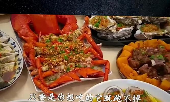 法国垂耳兔的饲养方法（从饲料到环境，了解法国垂耳兔的饲养要点）