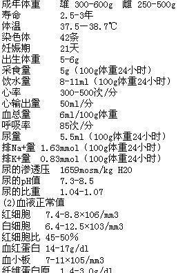 大鼠饲养指南（养育健康活泼的小鼠是一门艺术）