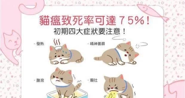 猫瘟传染途径、症状及防治（猫瘟病毒的危害及有效防控方法）