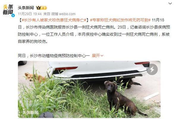 被狗咬伤后的处理及预防措施（打了狂犬疫苗，是否还需要打破伤风针？）