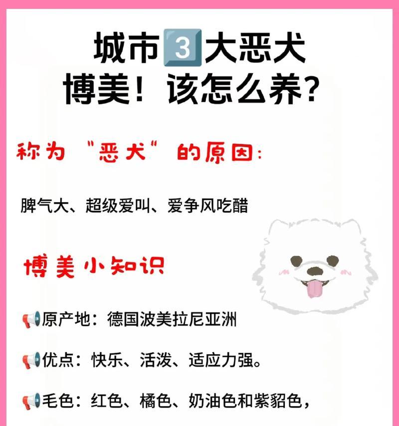 博美犬的禁忌食物（养博美犬注意事项，确保它们的健康和幸福。）