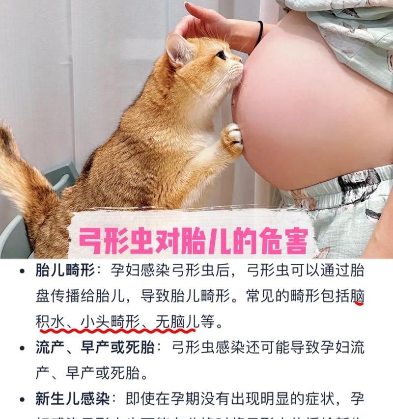 怀孕是否可以养猫狗？（专家解答）