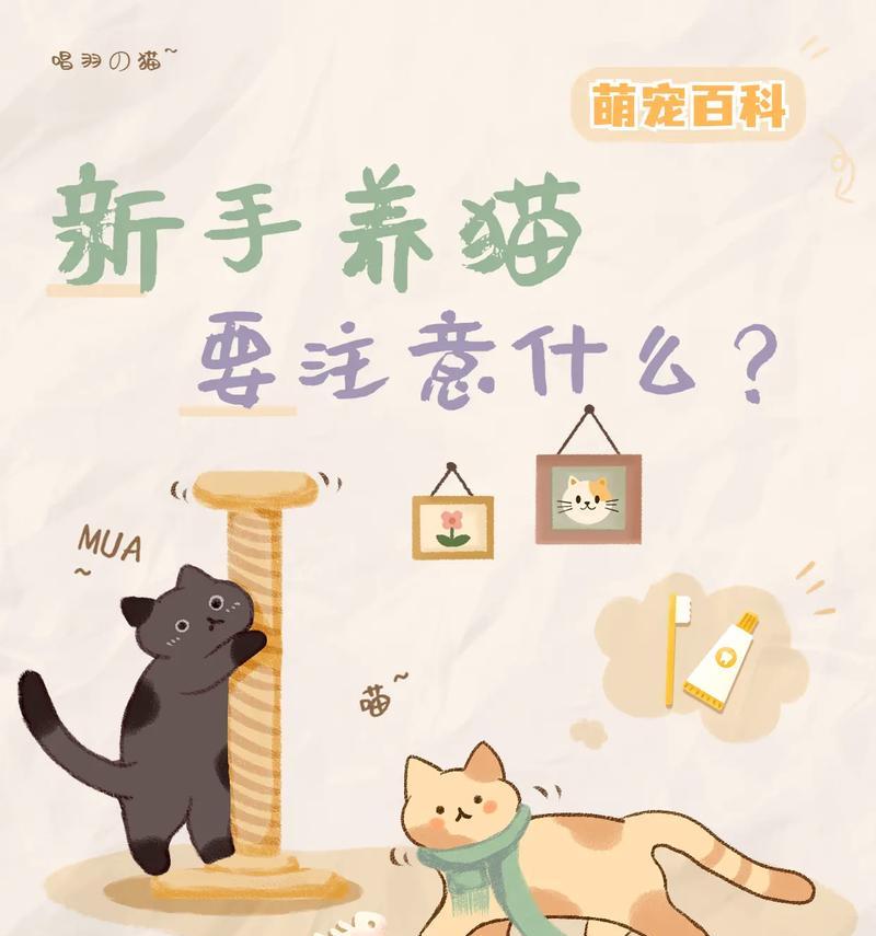 养猫的坏处与不好之处（了解养猫的负面影响，关键是这一点）