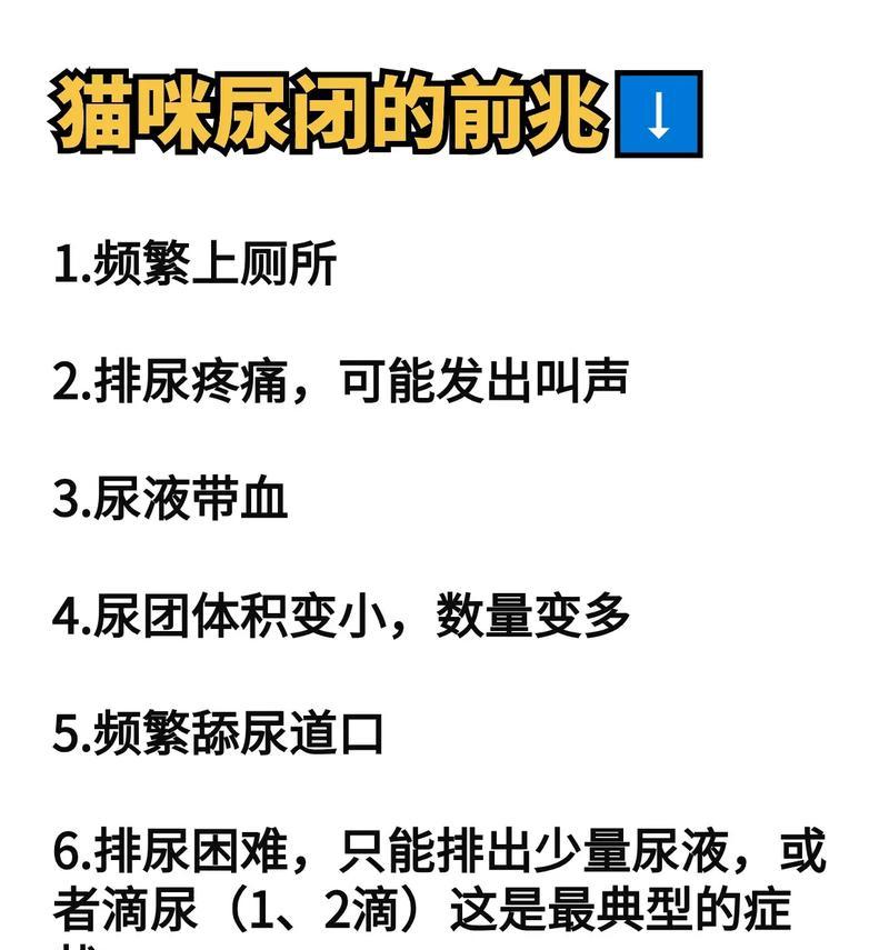 猫咪尿频（了解猫咪尿频的原因及其解决方法）