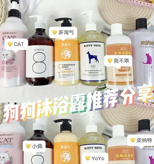 新手养狗必备用品清单大全（打造完美狗狗生活的关键物品）