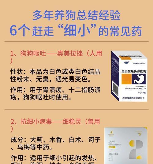 狗狗细小——如何应对这一可怕的病？（了解狗狗细小，保护它们的健康）