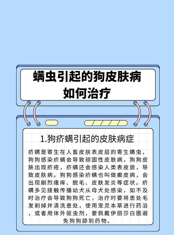 狗狗皮肤病的治疗方法大揭秘（了解常见的狗狗皮肤病及其治疗方式）