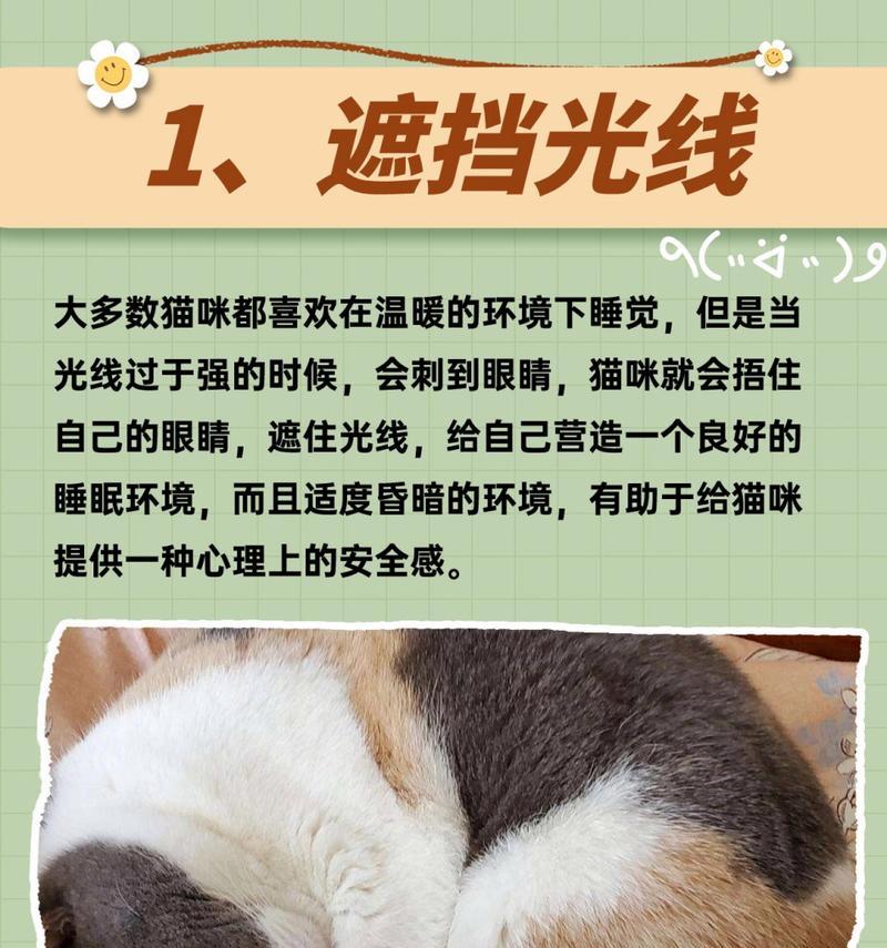 揭秘猫咪常见疾病（保护毛茸好友，了解这7种常见疾病）