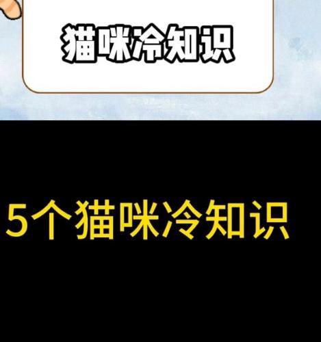 揭秘猫咪的12个冷知识（了解这些，你就是猫咪专家！）