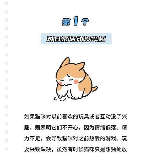 揭示猫咪不开心的表现——猫咪对主人的5大失望表现（猫咪心灵受伤，主人需多加关注）