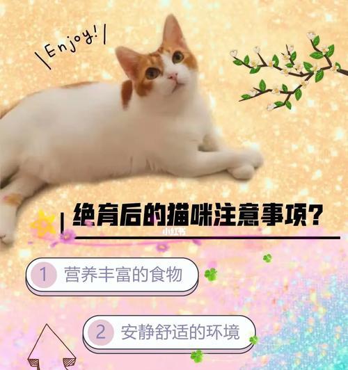 猫咪绝育（探讨猫咪绝育的好处与坏处，帮你做出明智的选择）