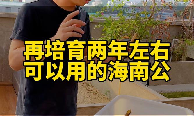 金钱龟养殖方法详解（科学养殖技巧带你成为金钱龟养殖专家）