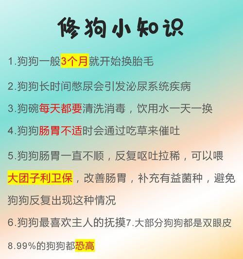 狗狗拉稀呕吐的原因及应对方法（了解狗狗拉稀呕吐的原因，帮助宠物恢复健康）