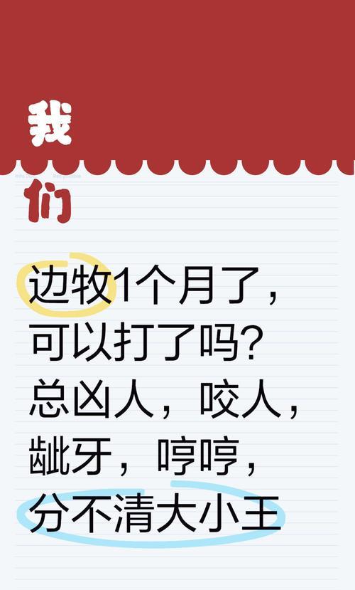 狗疫苗后注意事项（关心狗疫苗后的反应，守护爱宠健康）