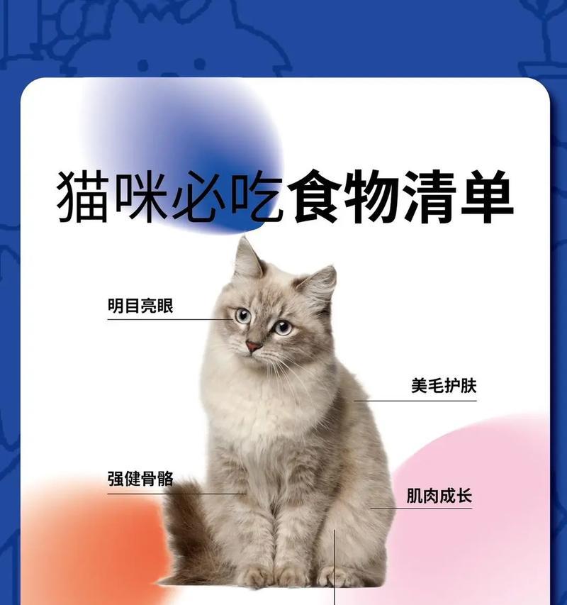 30天内给猫喂什么最好？（满足营养需求，健康快乐生活）