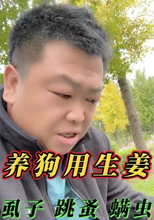 狗狗长螨虫的原因与处理方法（探寻狗狗身上长螨虫的关键原因及可行处理方法）