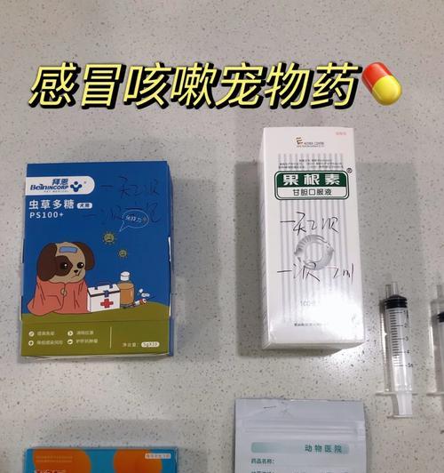 狗狗咳嗽自救指南（帮助你的宠物康复的有效药物治疗方案）