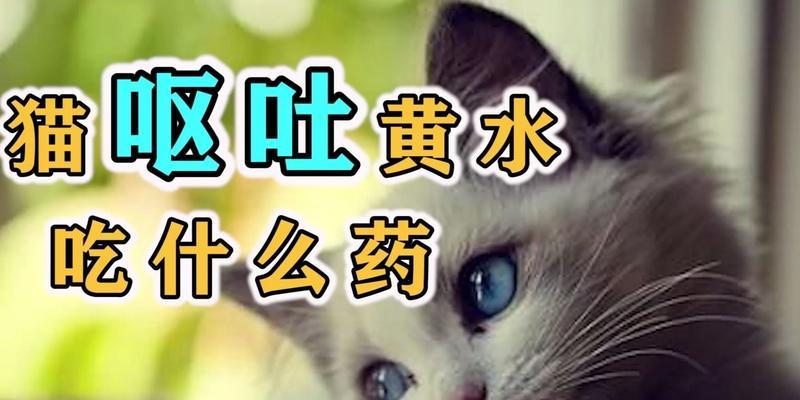 猫过敏引发呕吐问题的应对方法（药物治疗是解决猫过敏呕吐的有效方式）