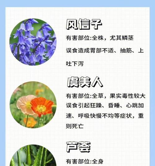猫咪害怕的植物（了解这些植物，保护我们可爱的猫咪）
