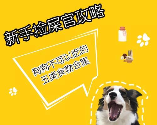 治疗狗大便稀药物的选择与使用（解决狗狗大便稀的有效药物及注意事项）