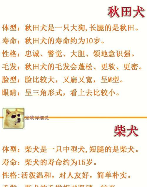 与柴犬体型相似而较小的犬种——谜一般的小犬（探索与柴犬相似但体型较小的犬种，解开这个谜题）