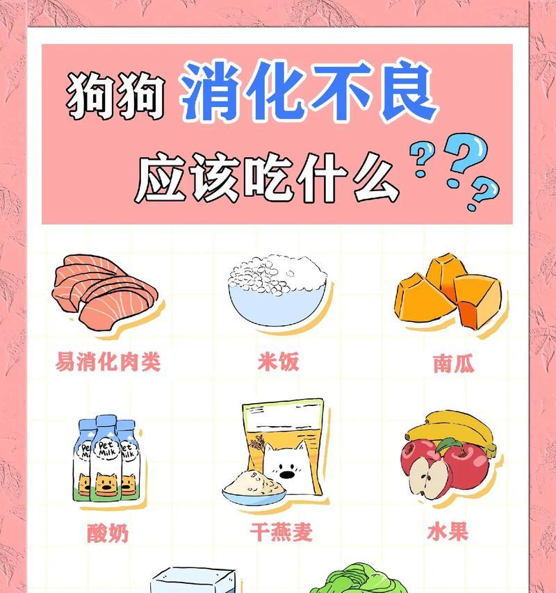 保护我们的狗狗（了解狗狗的饮食禁忌，守护他们的健康）
