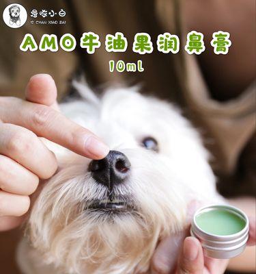 狗为什么会发痒？（探索狗发痒的原因及如何缓解）