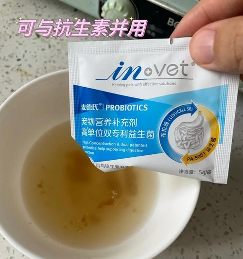 泰迪狗胃肠不好吃什么？（为你的泰迪犬定制饮食方案）