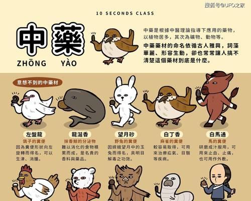 狗为什么出不来大便？（探究狗无法排便的原因及解决方法）