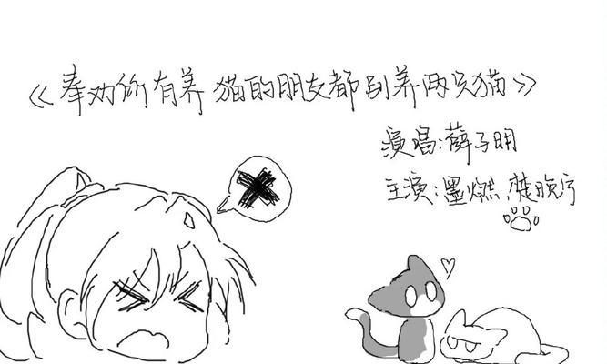 如何准备养两只猫的必备物品（养猫新手必看，了解这些物品让你成为贴心猫奴）
