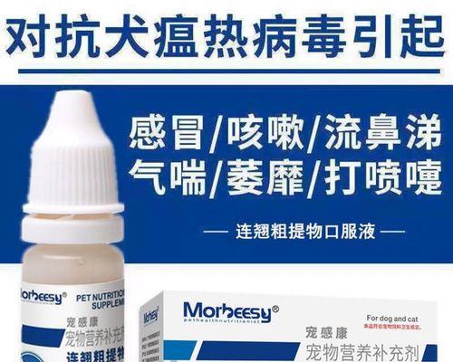 猫咪发烧了怎么办？（药物治疗是最佳选择！）