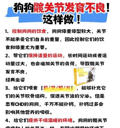 养狗需慎选中药（狗主人必读的中药选择指南）