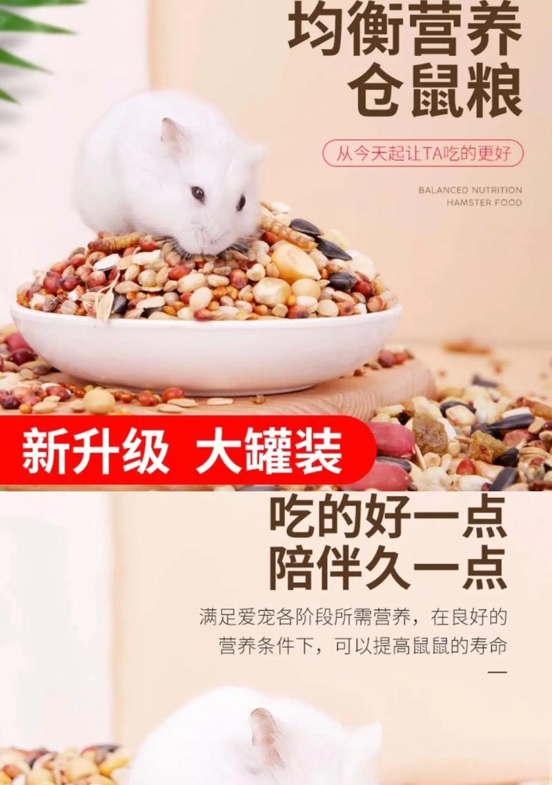 仓鼠生病了该如何选择食物？（养仓鼠的关键是正确的食物选择！）