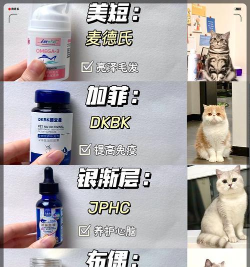 猫咪过敏（猫咪过敏的症状与治疗措施）