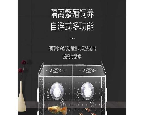 以孔雀鱼需要什么设备？（为养殖孔雀鱼所需的设备一览）