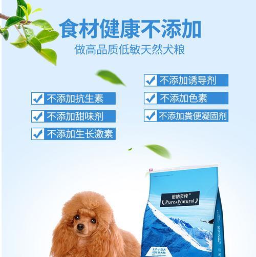 如何选择适合半岁博美的狗粮（探索半岁博美的饮食需求和营养要求，帮助主人选择合适的狗粮）