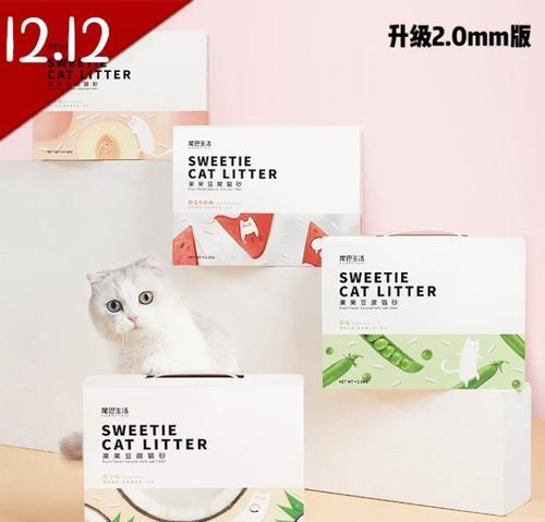 猫砂有替代品吗？（让你的猫舒适无猫砂存在的生活）