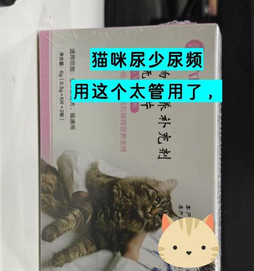 揭秘猫咪尿少的原因（为什么猫咪的尿量减少了？）