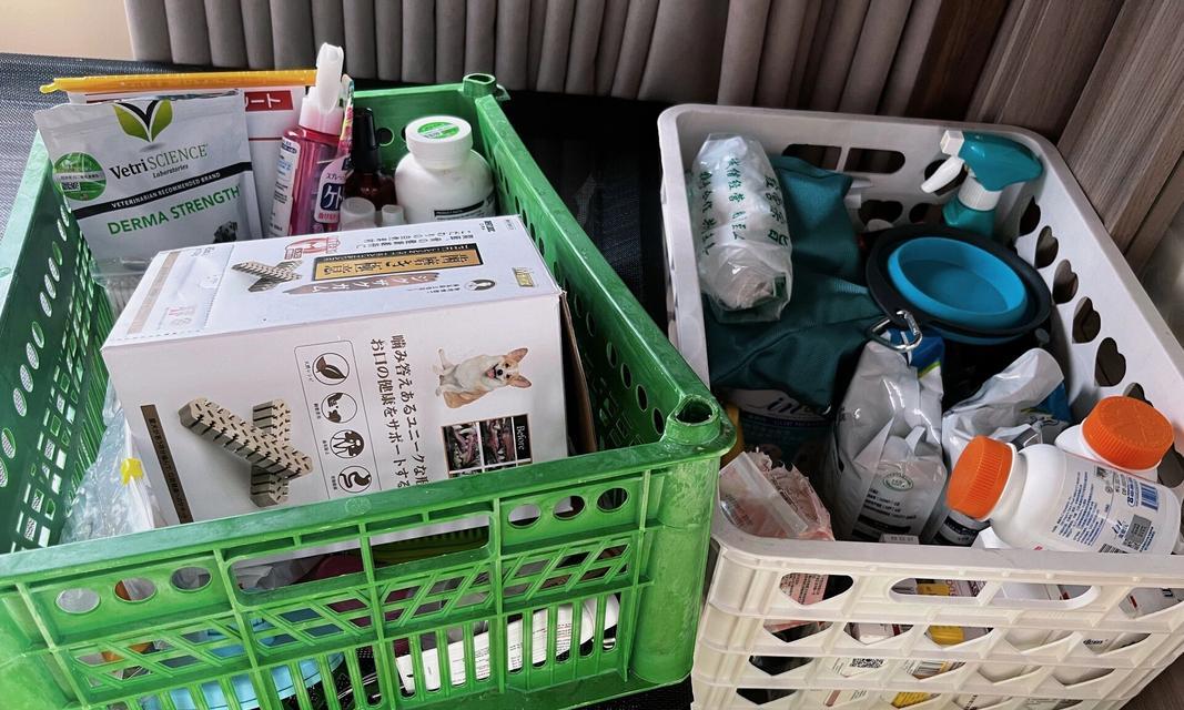如何给刚生产的母狗补奶？（从饮食到补充营养，宝宝的健康靠妈妈）