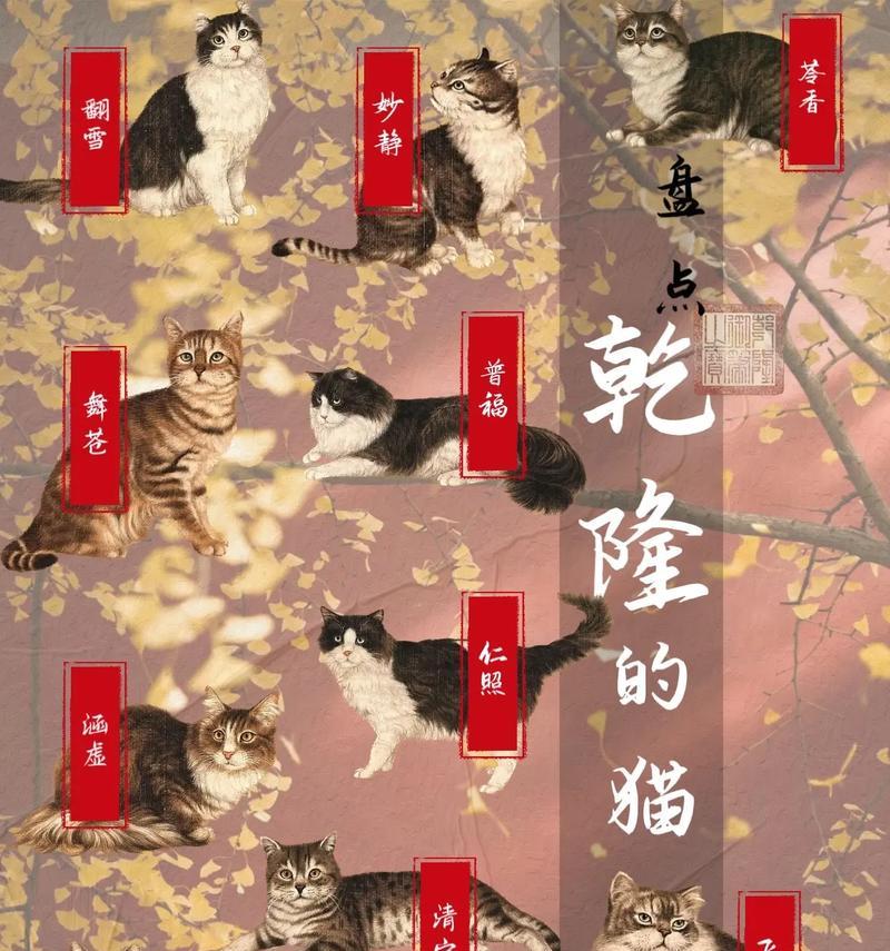 如何选择一个好听的小猫名字（以小猫取什么名字好听？为你的宠物起一个独特而有意义的名字）