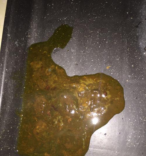 如何给比熊拉血吃药？（比熊拉血吃药的正确方法和常用药物）