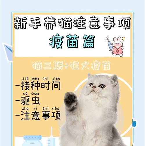 宠物狗疫苗接种时间表（为了宠物狗的健康，你需要知道的关于疫苗接种的重要信息）