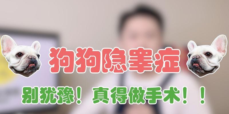 狗阴睾治疗的食疗方法（以食物调理狗狗阴睾问题，提供健康的治疗方式）