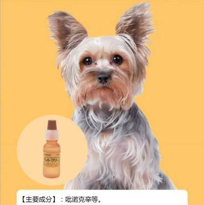 白内障狗的药物治疗方法（了解如何帮助患有白内障的狗恢复视力）